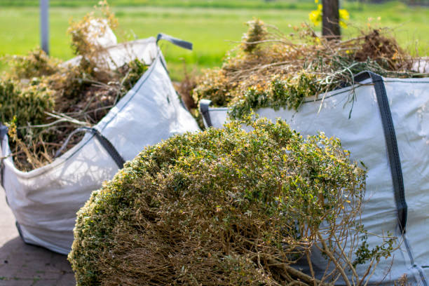 Best Attic Cleanout Services  in Boulevard Park, WA